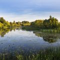 Barbel Fishing Diaries: Tales and Lessons from the Riverbanks of England