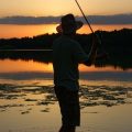 A Complete Guide to Bream and Tench Tactics in UK Coarse Fishing
