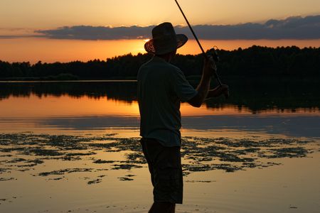 A Complete Guide to Bream and Tench Tactics in UK Coarse Fishing