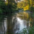 Mastering River Feeder Fishing: Advanced Setups and Strategies for British Waters