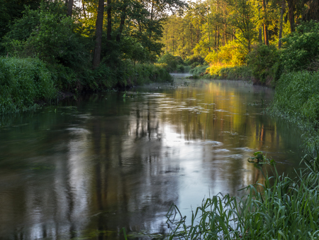 Mastering River Feeder Fishing: Advanced Setups and Strategies for British Waters