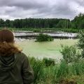 Family-Friendly Weekend Carp Fishing Holidays Around England