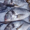 How Fisheries Enforcement Works: Navigating UK Legal Limits