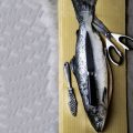 Traditional and Modern Fly Patterns for UK River Trout: What Really Works?