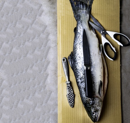 Traditional and Modern Fly Patterns for UK River Trout: What Really Works?