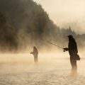 Seasonal Cod Fishing in the UK: When and Where to Fish for Best Results
