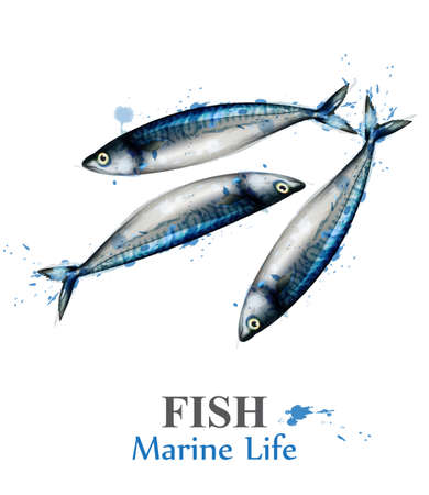 Top Match Fishing Techniques and Rigs