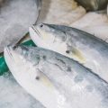 Combining Fishing with Whisky Tours: Unique Scottish Holiday Packages