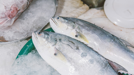Combining Fishing with Whisky Tours: Unique Scottish Holiday Packages