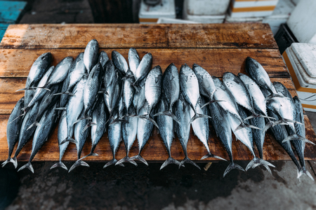 How Fish Stocking Affects Native Species and Local Biodiversity in British Waters
