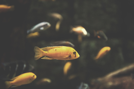 Accessible Fishing Holidays in the UK: Where to Stay and Fish Barrier-Free