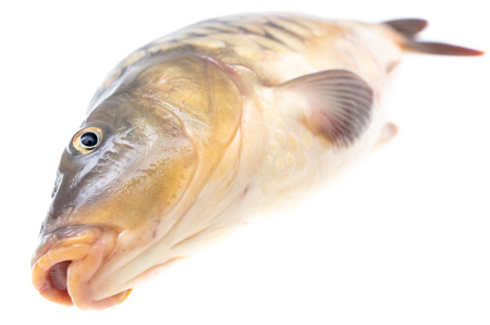 Exploring the Best Accessible Coarse and Game Fisheries in Britain for All Abilities