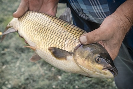 The Ultimate Guide to Fly Fishing Lodges in Wales: Where to Stay and Cast Your Line