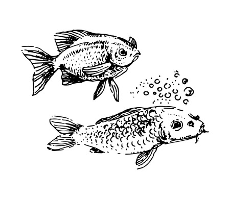 Species-Specific Guidelines
