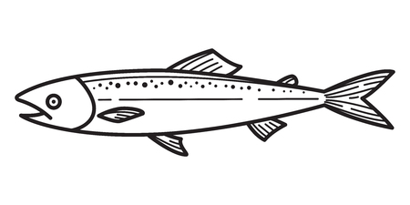 Choosing the Right Tackle for Responsible Angling