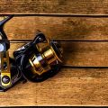 Beginner vs Pro: Comparing Entry-Level and Top-Tier UK Tackle Kits