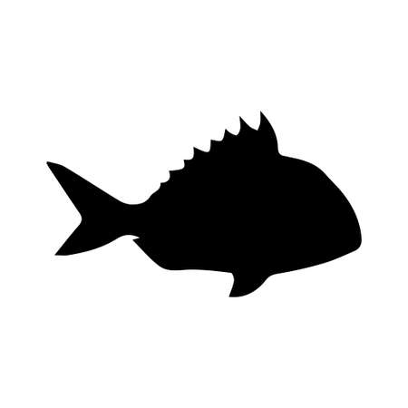 Scottish Sea Fishing Hotspots
