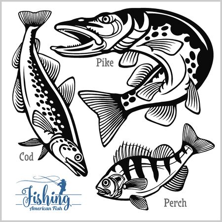 Boat Fishing in the English Channel: Top Tips for Beginners and Seasoned Anglers
