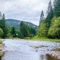 The Ultimate Guide to Scottish Salmon Rivers: Top Destinations and Hidden Gems