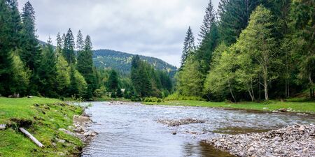 The Ultimate Guide to Scottish Salmon Rivers: Top Destinations and Hidden Gems