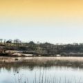 Beating the Breeze: Fly Fishing Casting Techniques Every British Angler Should Know