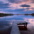 Comprehensive Guide to Identifying Invasive Species in British Rivers and Lakes