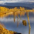 Targeting Winter Carp: UK-Specific Strategies for Cold Water Conditions