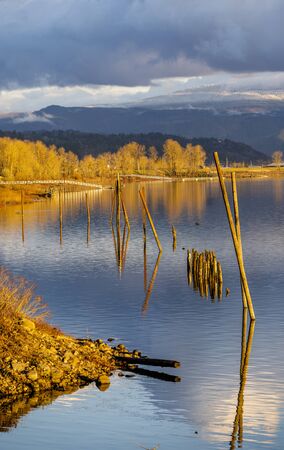 Targeting Winter Carp: UK-Specific Strategies for Cold Water Conditions