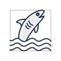 Best Stillwater Carp Fishing Lakes Across England: Hidden Gems and Well-Known Hotspots