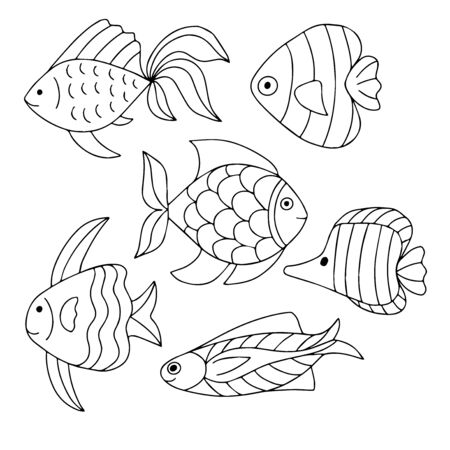 Specialist Techniques for Cold Water Success
