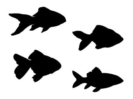 Tackle and Bait Misconceptions
