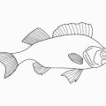 How to Perfect the Double Haul Cast for Windy Fly Fishing in the UK