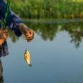 Fishing Without Barriers: Discovering Inclusive Angling Locations Throughout the UK