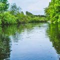 Innovative Approaches to Enhancing River and Lake Habitats in the UK for Wild and Stocked Fish