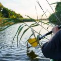 Feeder vs Float Fishing: An In-depth Guide to Choosing the Right Technique for UK Waters