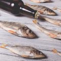Mastering Bread Bombs: How to Tempt Wary Carp on the Top in British Waters