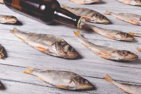 Mastering Bread Bombs: How to Tempt Wary Carp on the Top in British Waters