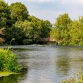 Exploring Lesser-Known Fly Fishing Havens in Britain: A Detailed Guide