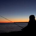 The History and Rationale Behind Closed Seasons in British Fisheries