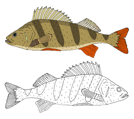 Understanding UK Carp Fishing Techniques