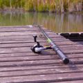 How to Prepare for Your First UK Carp Fishing Tournament: Tips from Local Experts