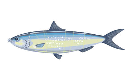 Essential Terminal Tackle and Rigs