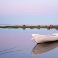 UK Rod Licence Costs and Where Your Money Goes: A Deep Dive into Fees and Funding