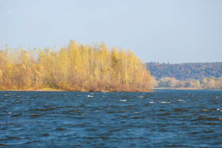 Decoding the Seasons: When and Where to Catch Wild Trout on British Rivers