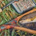 A History of Pike and Predator Fishing in British Coarse Angling: Traditions, Legends, and Records