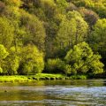 Fly Fishing the Welsh Countryside: The Best Lodges for Beginner and Expert Anglers