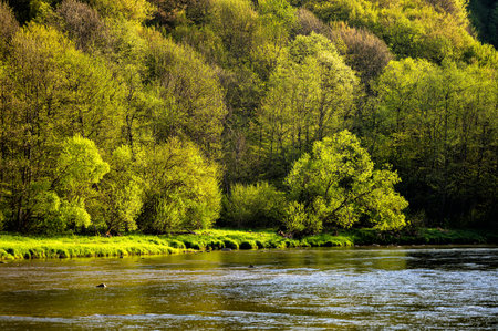 Fly Fishing the Welsh Countryside: The Best Lodges for Beginner and Expert Anglers