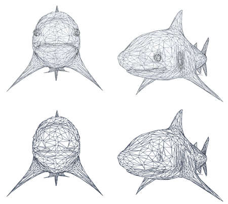 Key Tidal Times: When to Fish for Bass