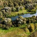 Restoration Projects: Rehabilitating British Waters After Invasive Species Incursions