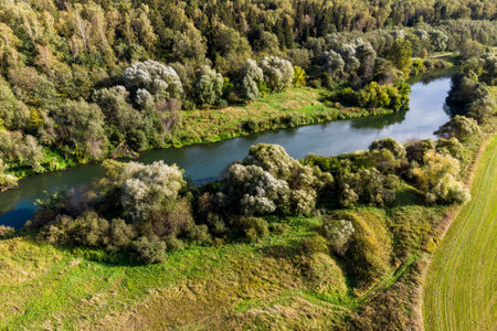 Restoration Projects: Rehabilitating British Waters After Invasive Species Incursions